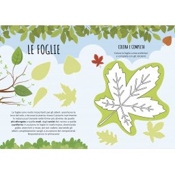 Libro illustrato per Bambini BING Viva la Natura Stickers e Set da