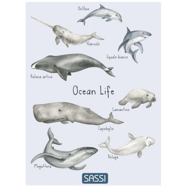 copy of Poster - Ocean Life